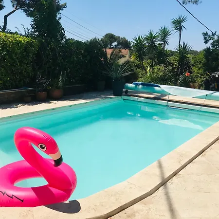 فيلة Belle Provencale